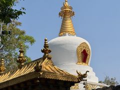 -护国法轮寺