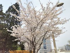 -北京理工大学(中关村校区)