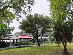 -海珠湖公园