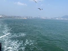 -养马岛旅游度假区