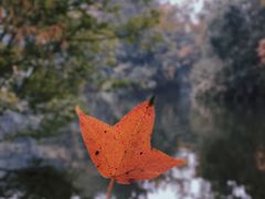 -保利石象湖景区