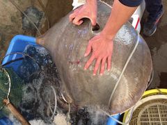 -浪琴湾尾角仔海鲜坊