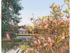 -奉浦四季生态园