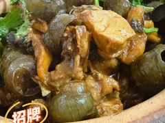 田螺焖鸡-棠记大排档(海珠店)