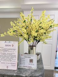 点击看大图 -伊丽莎白医疗美容