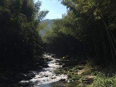 -宁波浙东大竹海景区