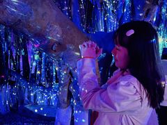 -胡里山炮台