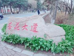 -吉林大学(南岭校区)