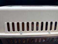 -四月宠物医院·猫专科·心脏专科·内科(转塘店)