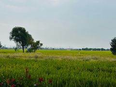 -嘉北郊野公园