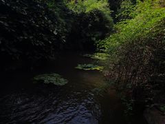 -中国茶叶博物馆(双峰馆区)