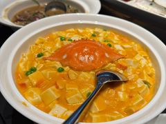 -三强鸽子(中原路店)