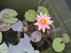 -不倒翁·徽天下名菜楼(马鞍山路店)