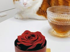 -美心西饼mx cakes(市桥站店)