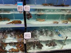 -盒马鲜生(顺义店)