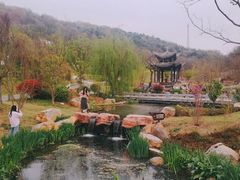-第一山景区