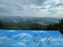 -阳台山森林公园