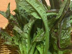 -巴奴毛肚火锅(龙湖锦艺城店)