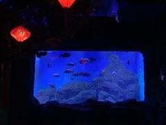 -石家庄海洋公园