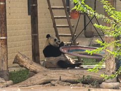 -石家庄市动物园