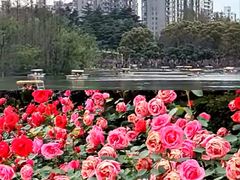 -大宁公园