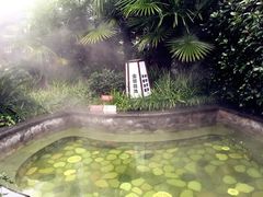 -杭州第一世界大酒店·云曼温泉