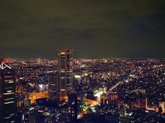 -东京都厅舍