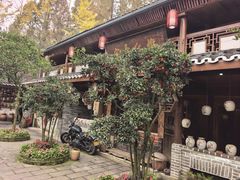 -青城甲(青城山店)