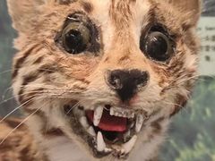 -下渚湖国家湿地公园科普馆