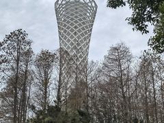 -上海滨江森林公园
