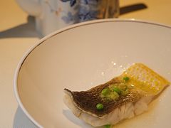 东海大黄鱼-炳胜私厨(万象前海店)