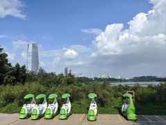 -华侨城湿地公园