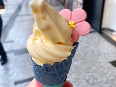 -麦当劳(华发商都店)