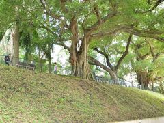 -九龙公园