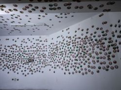 -Zoolung Zoolung动物主题公园(海信广场店)