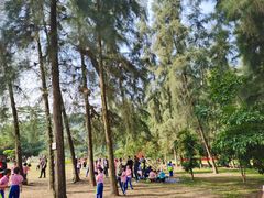 -南宁良凤江国家森林公园