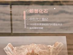 -温州博物馆