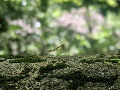 -溪口-滕头旅游景区