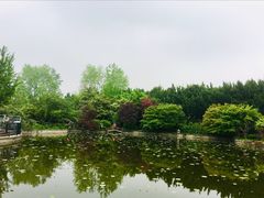-嘉定紫藤园