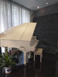 -比华利美容医院