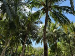 -三亚湾海居铂尔曼度假酒店