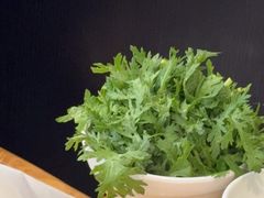 -椰子印象椰子鸡·椰奶鸡·糟粕醋(友谊阳光城店)