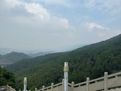 -铁山坪森林公园