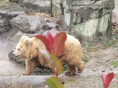 -宁波野生动物园
