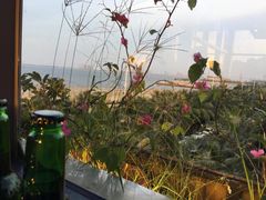 -蠔爺王志德生蚝馆(金沙湾店)