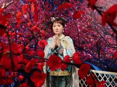 -武汉杜莎夫人蜡像馆