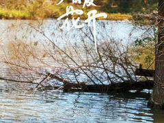 -海珠湖公园