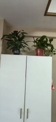 -Dr.林醫生产后修复·配方产康(南京江宁万达店)