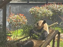 -云南野生动物园