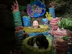 -南昌海洋公园